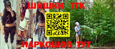 jwh Камышлов