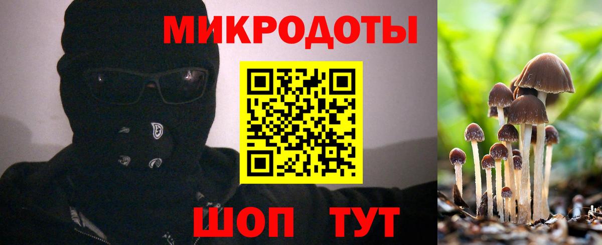 Галлюциногенные грибы GOLDEN TEACHER Елабуга